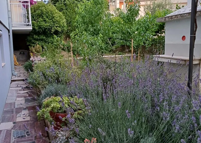 Sano * Подстрана